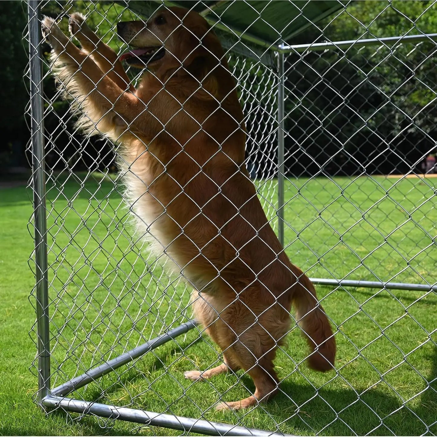 Large Dog Kennel Outside with Waterproof Cover,Outdoor Dog Kennel with Metal Gate,Heavy Duty Outside Dog Kennel with Roof